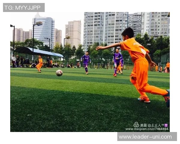 全面解读2011版体育与健康标准对青少年身心发展的影响与实施策略